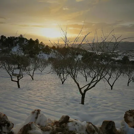 Mas De Pau - Boutique Lejlighed *