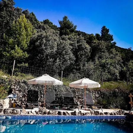 Mas De Pau - Boutique