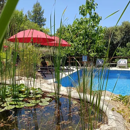 Apartamento Mas De Pau - Boutique Fuentespalda