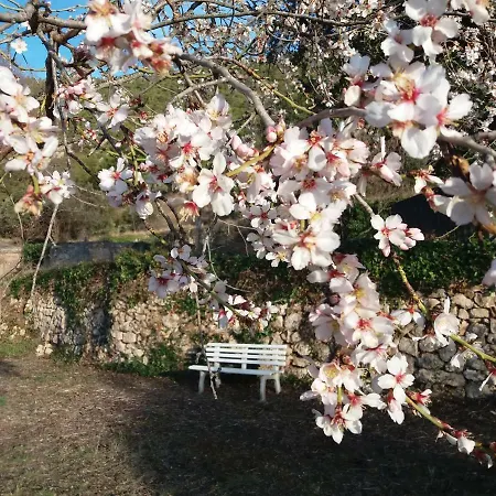 Mas De Pau - Boutique