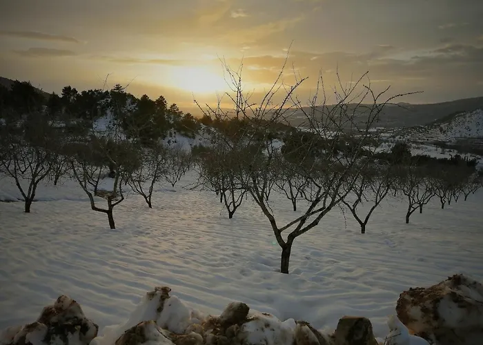 Mas De Pau - Boutique Apartamento *