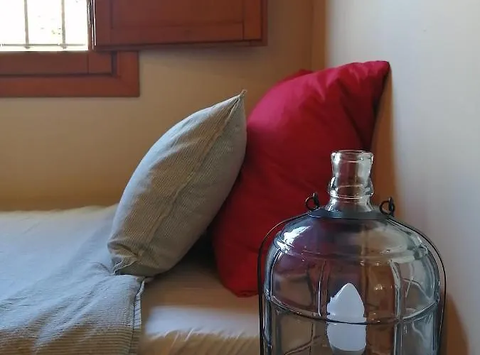 Mas De Pau - Boutique