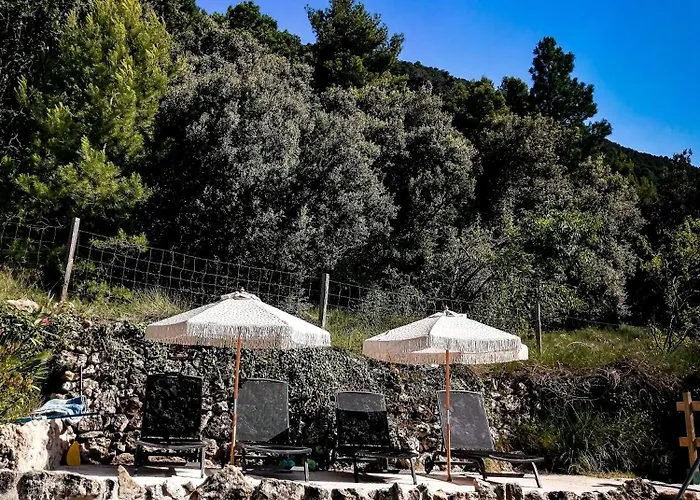 Mas De Pau - Boutique