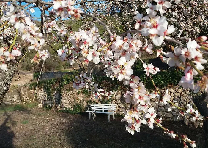 Mas De Pau - Boutique